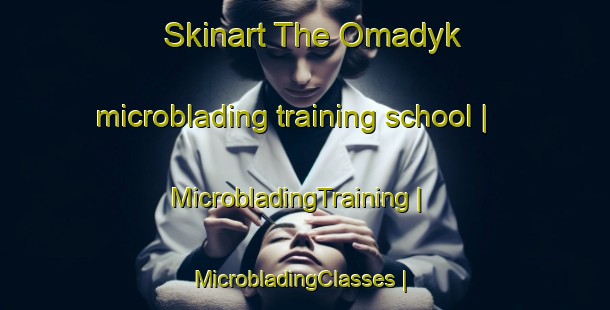 Skinart The Omadyk microblading training school | MicrobladingTraining | MicrobladingClasses | SkinartTraining-Russian Federation